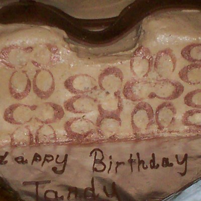 Coach Purse Cake