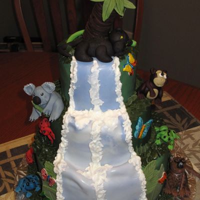 Rainforest Cake