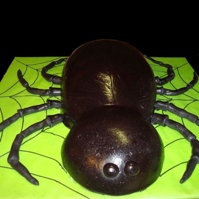 3D Spider Cake