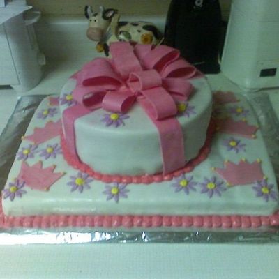 My Daughter's 6Th Birthday