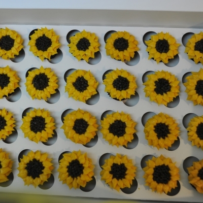 Mini Sunflowers