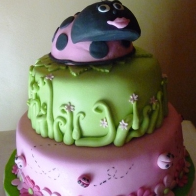 Ladybug Cake