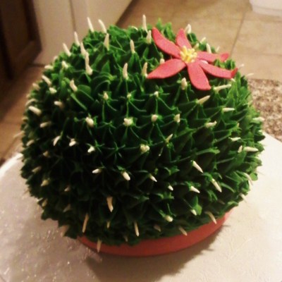 Cactus Cake