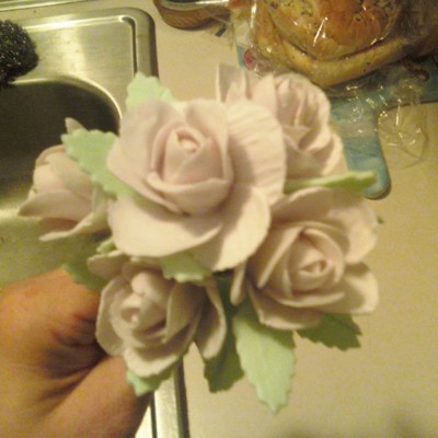 Roses