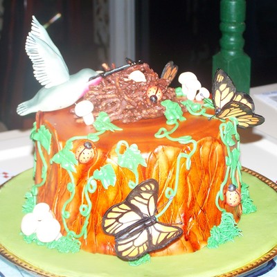 Tree Stump Hummingbird Cake