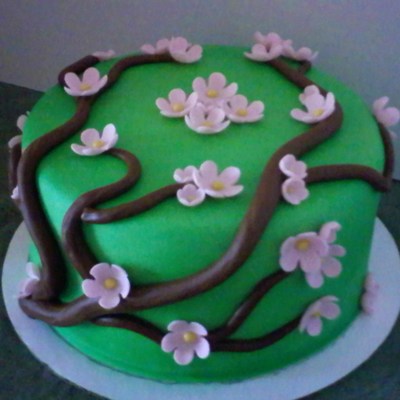 Blossom Branch Cake