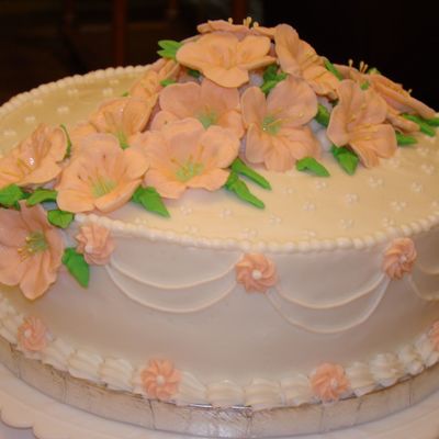 Last Wilton Cake