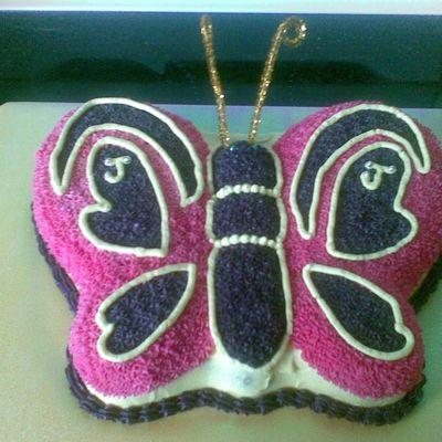 Beautiful Butterfly - Pink And Purple