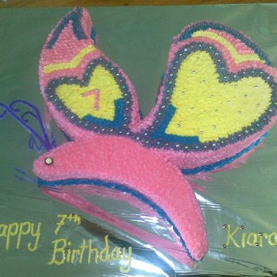 Hot Pink Butterfly
