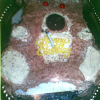 Teddy Bear Cake