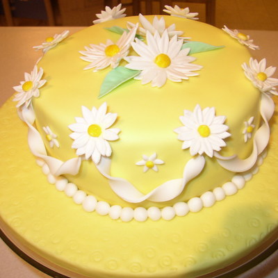 Wilton Cake Class