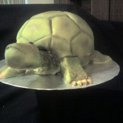 Turtle Grooms Cake
