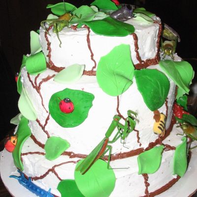 Bug Cake