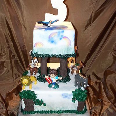 Cammy's Diego Cake
