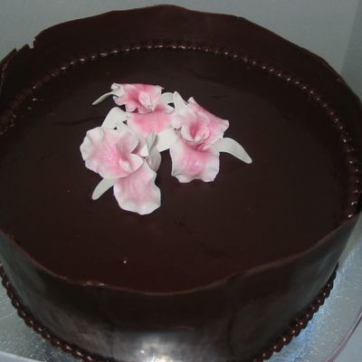 Orchids On Chocolate