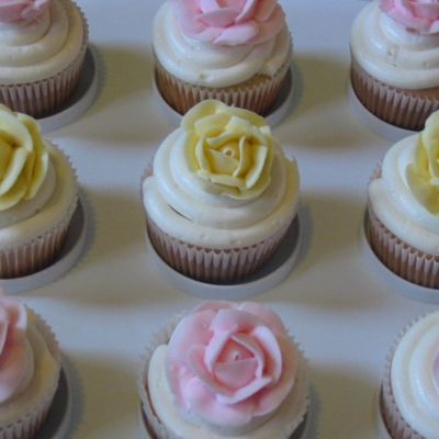 Wilton/michael's Demo Cupcakes