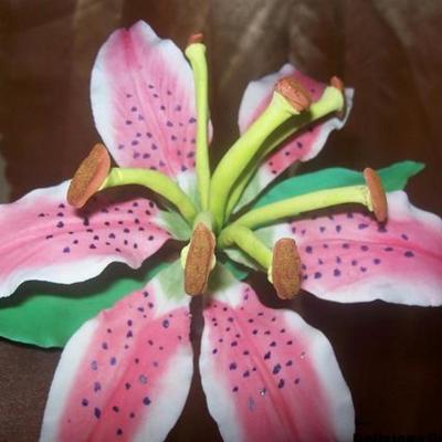 Stargazer Lilly
