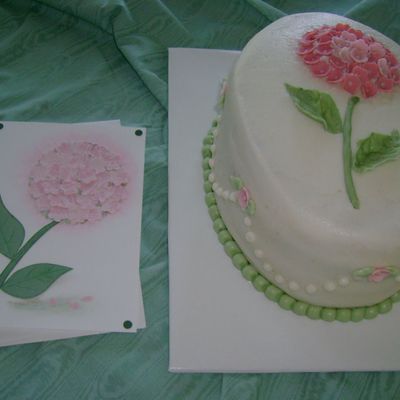 Hydrangia For Birthday Or Mother's Day