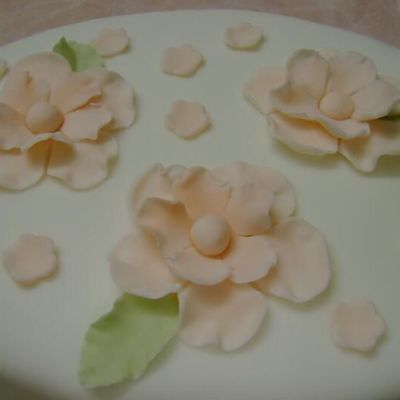 Peach Fondant Flowers