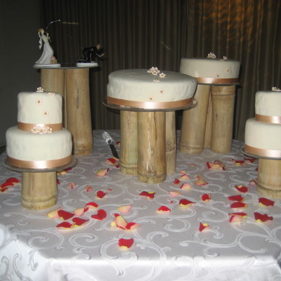 Mi Primer Bizcocho De Boda