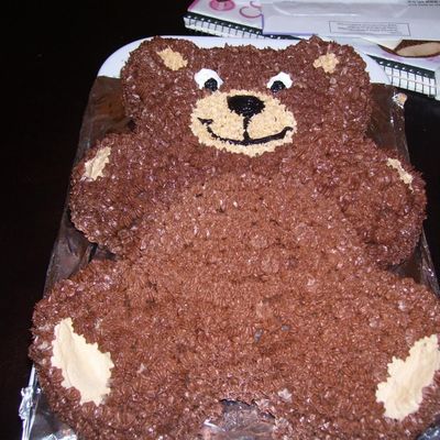 Wilton Project 1- Bear Cake