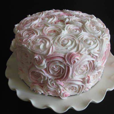 Two Toned Roses