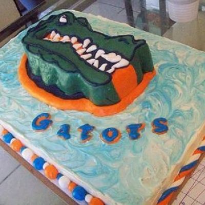 Florida Gator Cake