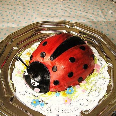 Ladybug