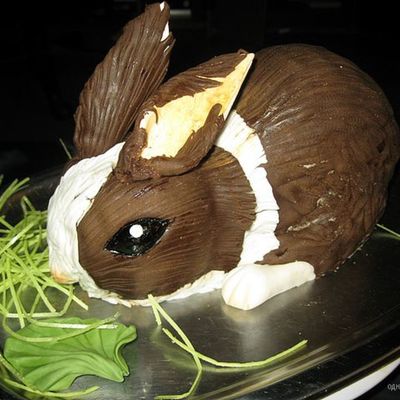 Rabbit