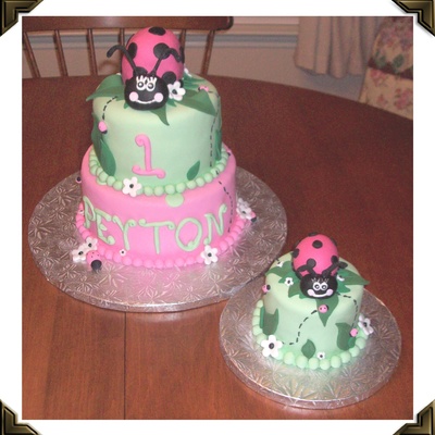 Ladybug Cake And Smash Cake