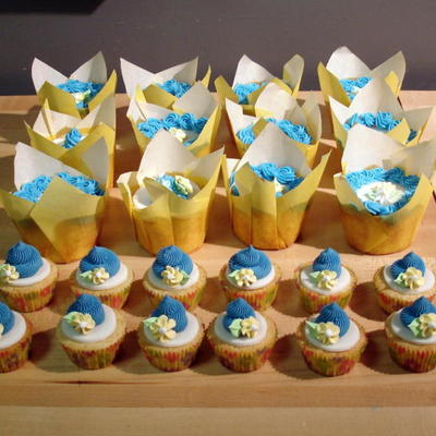 My First Fondant Topped Cupcakes