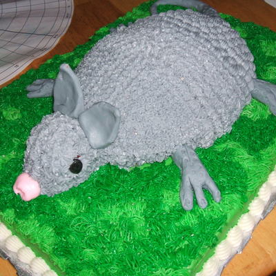 Armidillo Cake