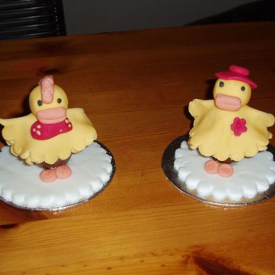 Meet Ed And Edwina Duck