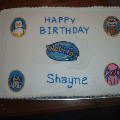 Shayne's Webkinz Cake