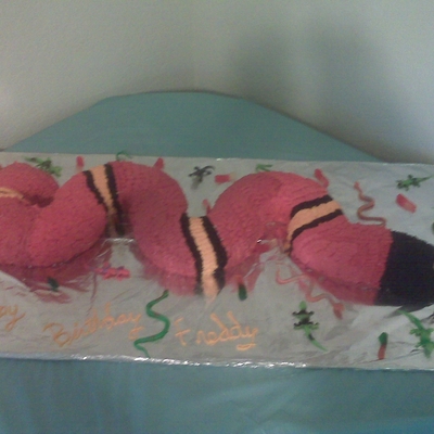 Milk Snake / King Snake