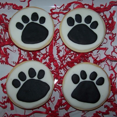 Georgia Bulldogs Paws!