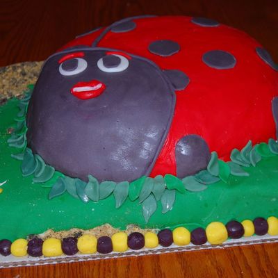 Lady Bug In Grass With Garden Snake