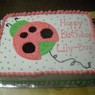 Lily-Bug's First B'day Cake