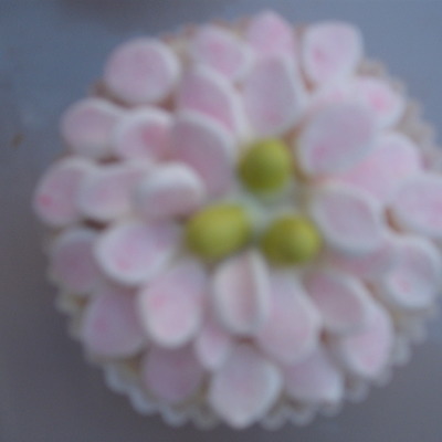 Chrysanthemum Flower