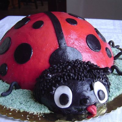 Torta Coccinella