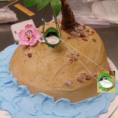Island Themed Baby Shower Cake