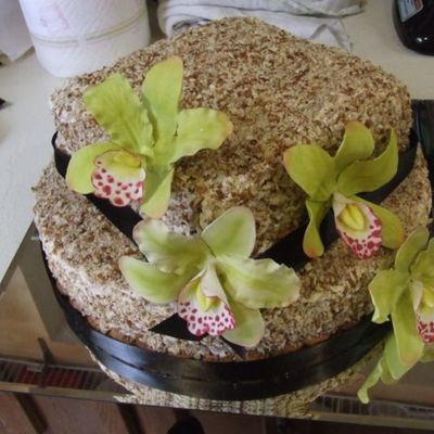 Orchids On Italian Cream