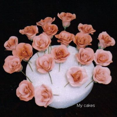 Tylose Paste Roses