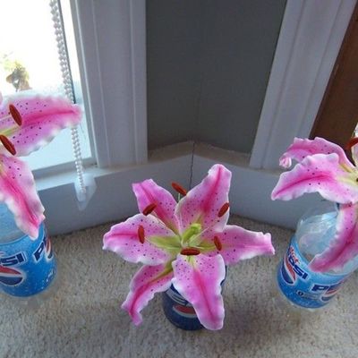 Three_Stargazer_Lillies.jpg