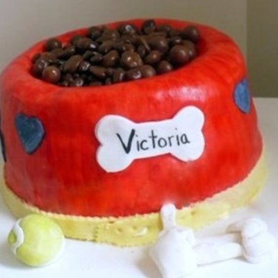 Dog Bowl Cake