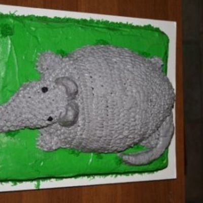 Bleeding Armadillo