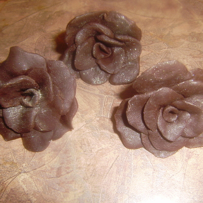 First Flowers