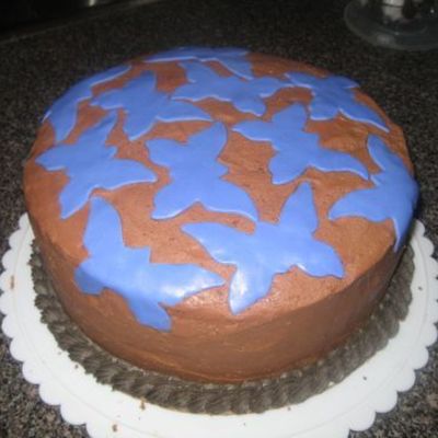 Quick Cake W/ Butterflies