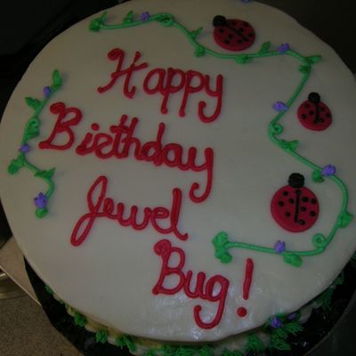 Lady Bug Birthday Cake
