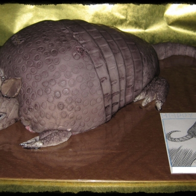 Armadillo